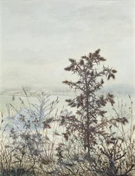 Bodláky a plevel, 1864 (čb, tělová barva, pero a tuš a tužka na papíře)